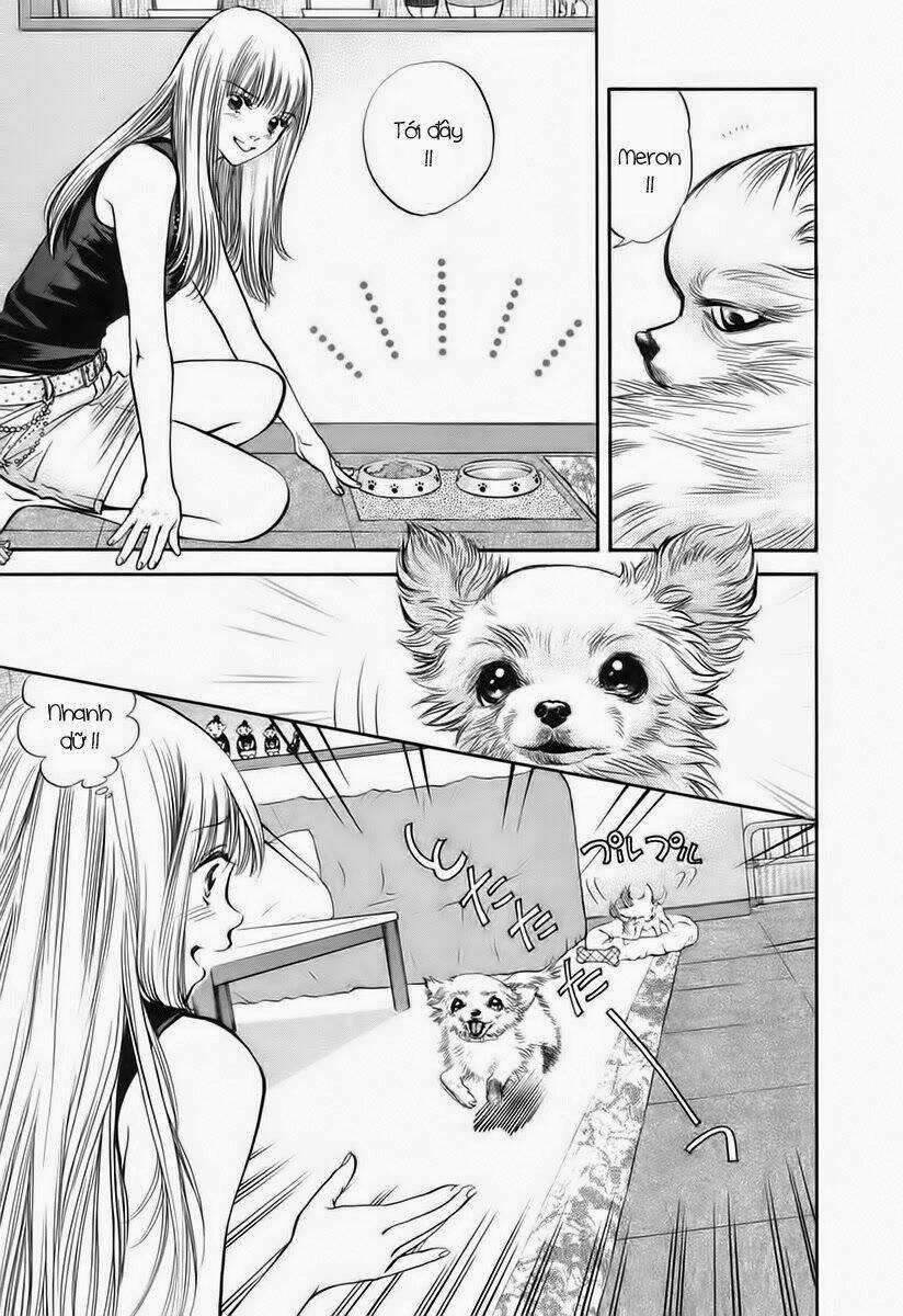 Cô Nàng Yêu Chó Chapter 38 trang 4