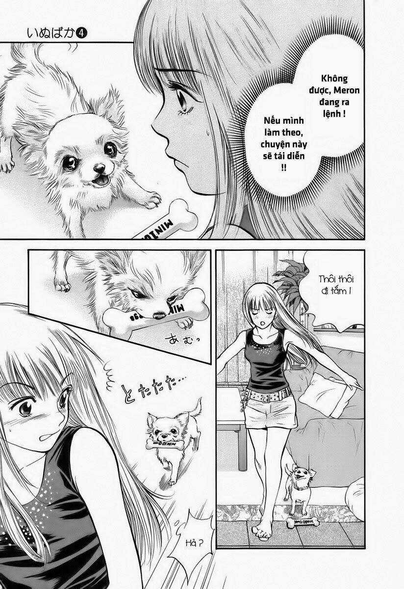 Cô Nàng Yêu Chó Chapter 38 trang 8