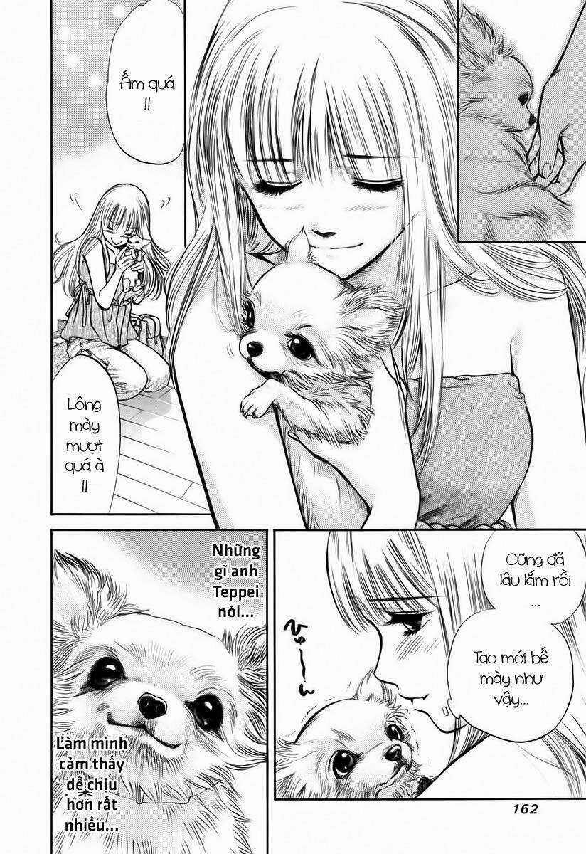 Cô Nàng Yêu Chó Chapter 39 trang 10
