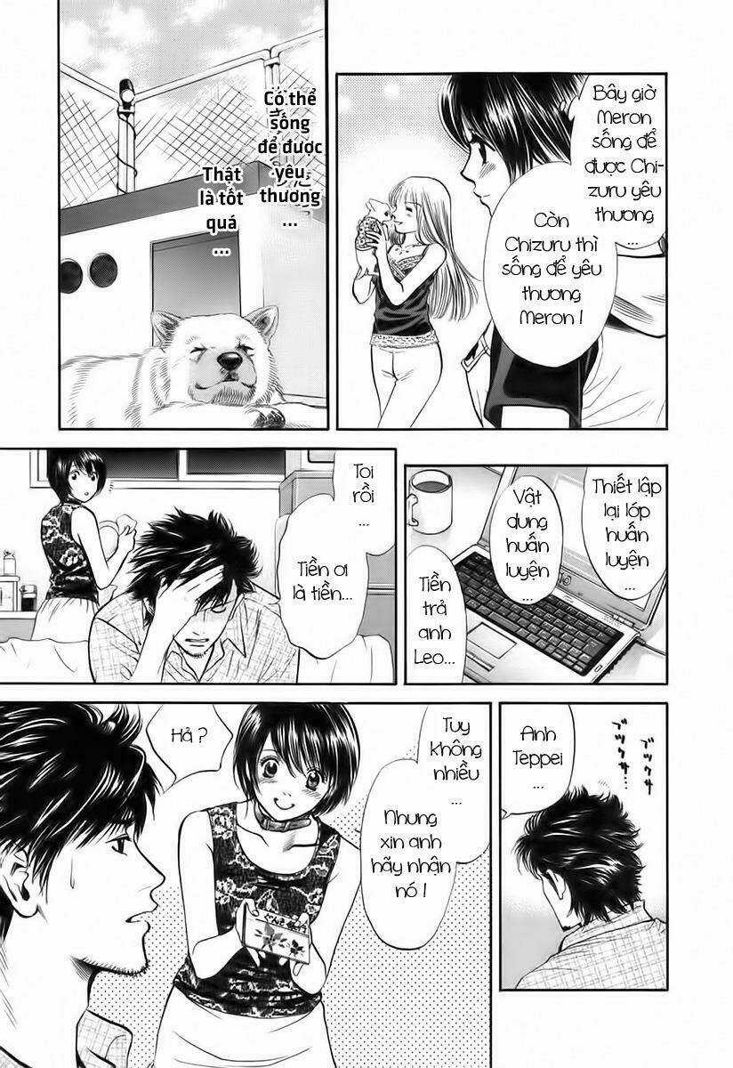 Cô Nàng Yêu Chó Chapter 39 trang 16