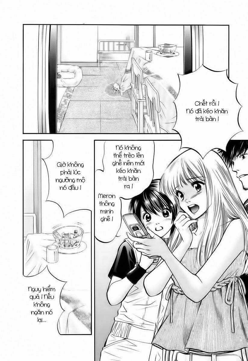 Cô Nàng Yêu Chó Chapter 39 trang 2