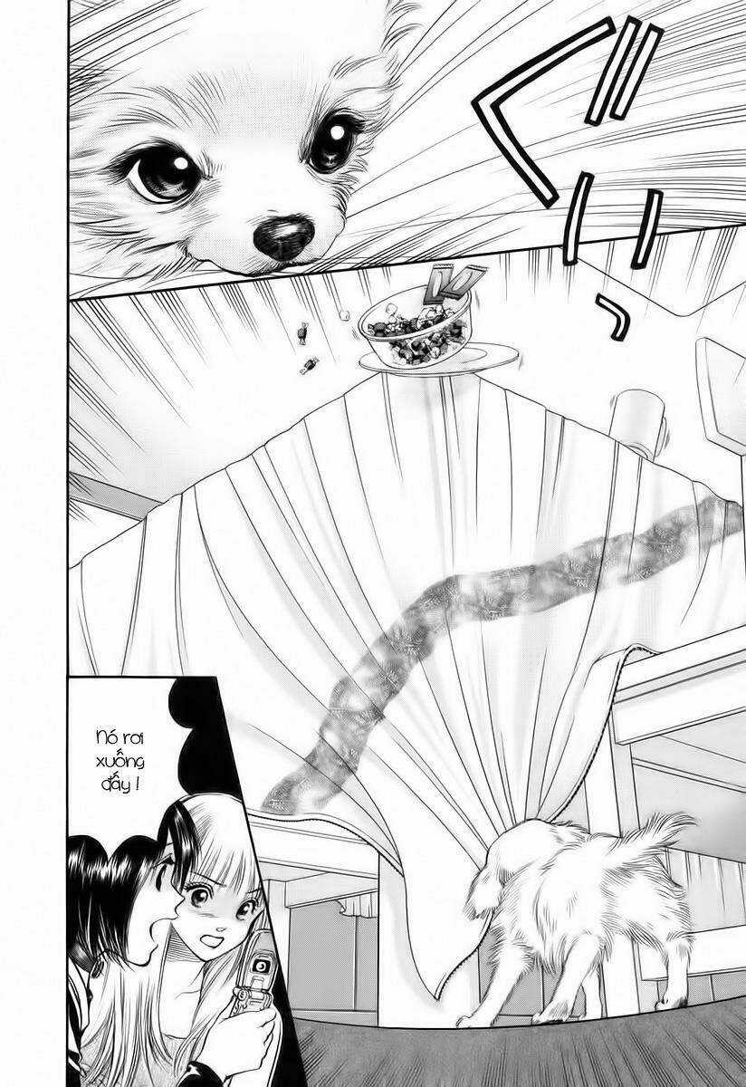 Cô Nàng Yêu Chó Chapter 39 trang 4