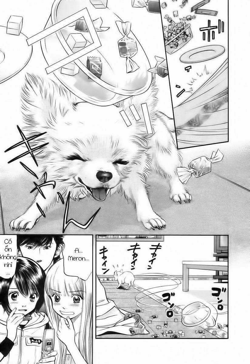 Cô Nàng Yêu Chó Chapter 39 trang 5