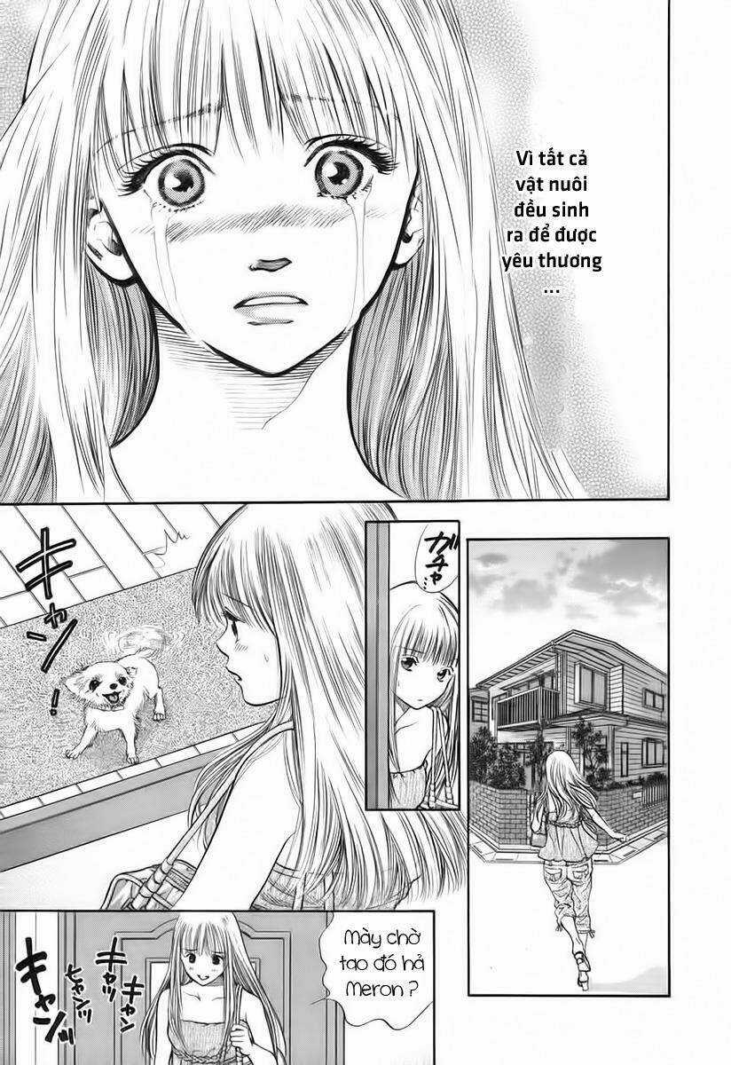 Cô Nàng Yêu Chó Chapter 39 trang 9