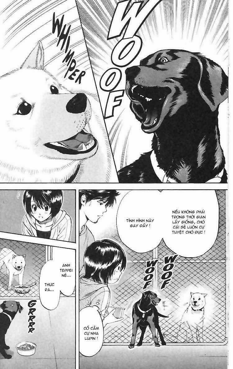 Cô Nàng Yêu Chó Chapter 4 trang 15