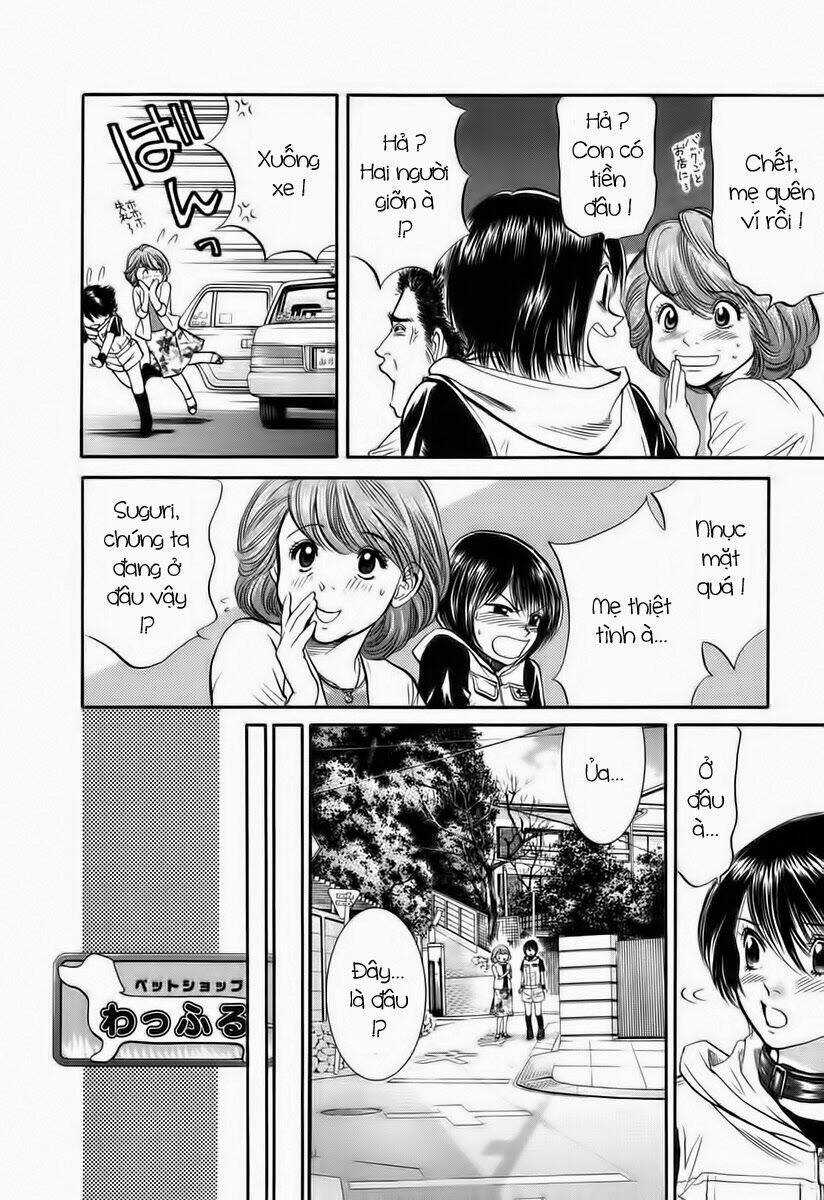 Cô Nàng Yêu Chó Chapter 40 trang 11