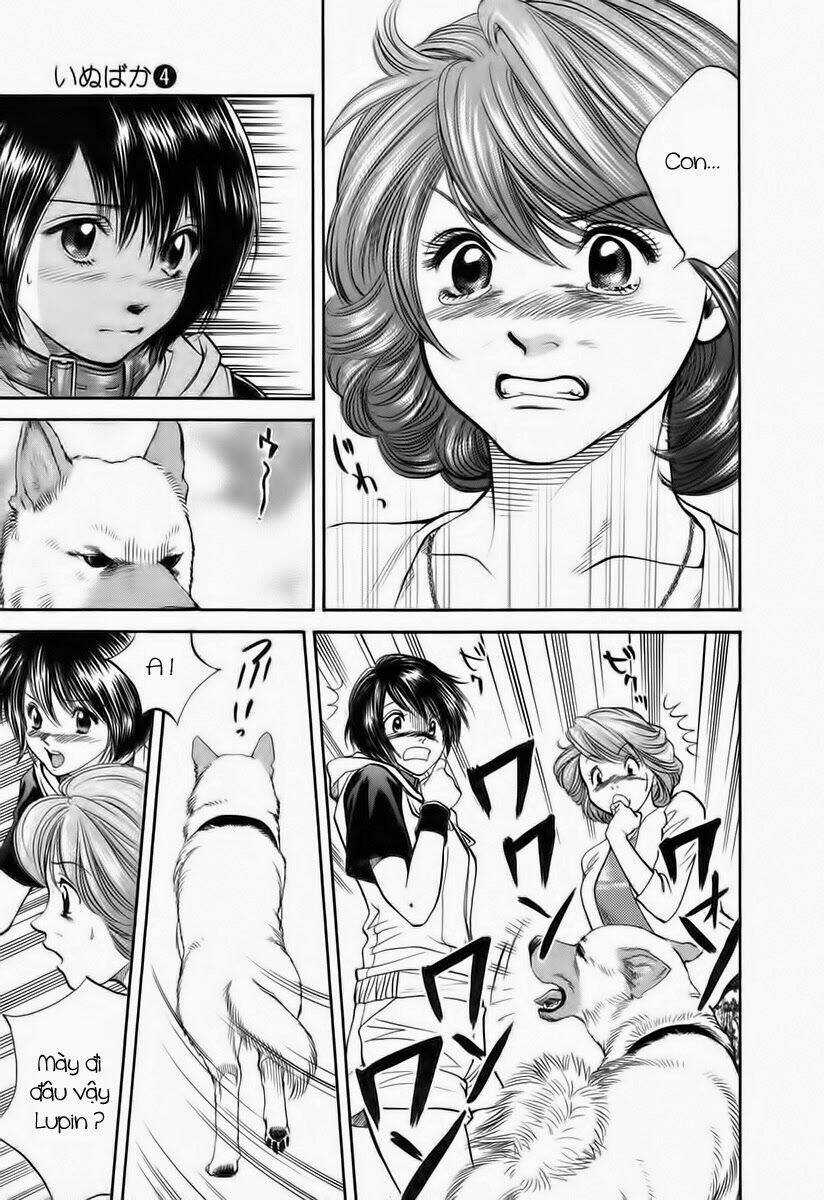 Cô Nàng Yêu Chó Chapter 40 trang 8