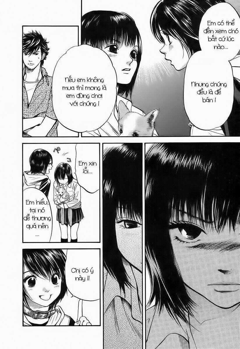 Cô Nàng Yêu Chó Chapter 41 trang 11