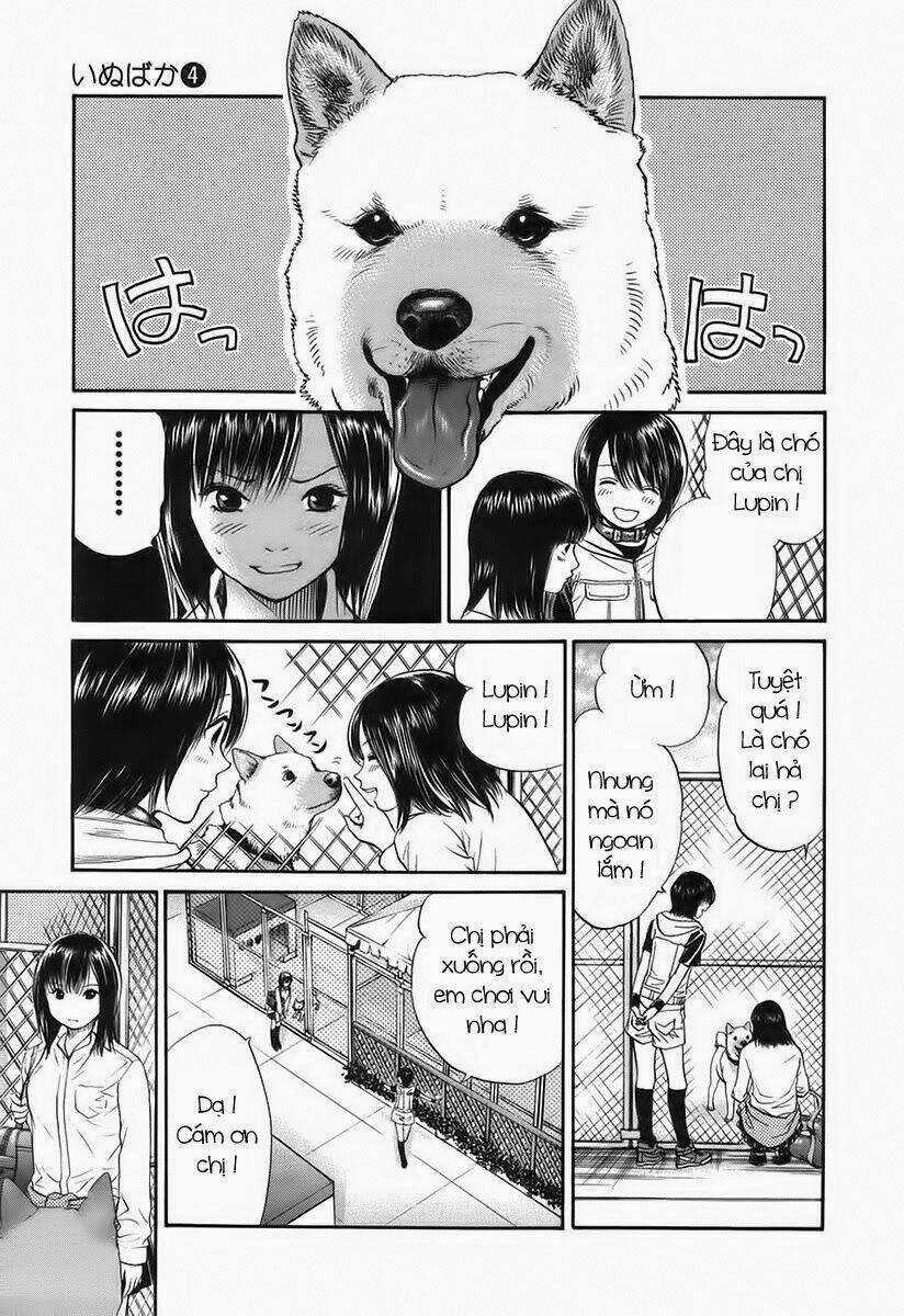 Cô Nàng Yêu Chó Chapter 41 trang 12