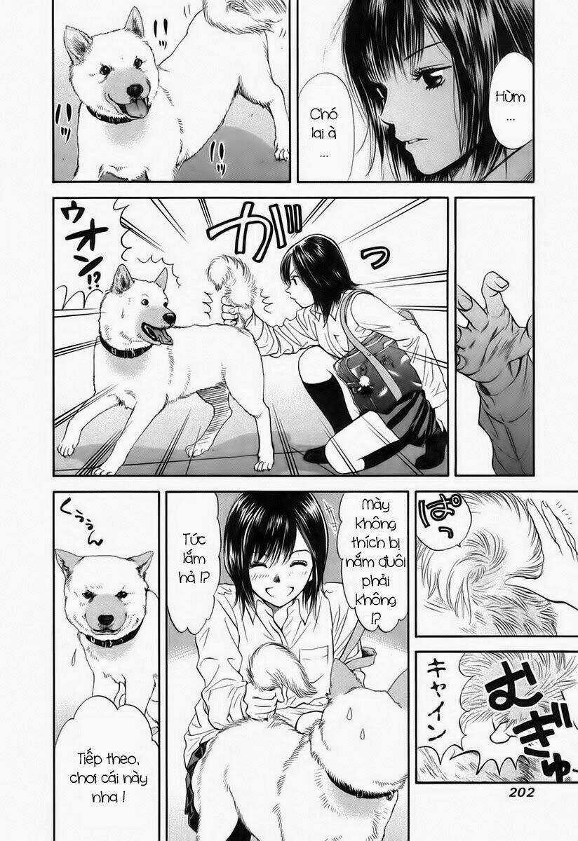 Cô Nàng Yêu Chó Chapter 41 trang 13