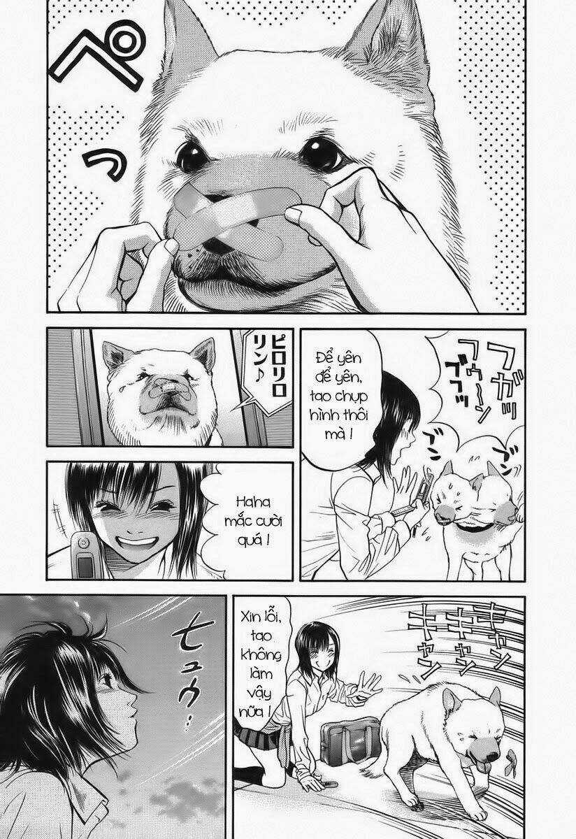 Cô Nàng Yêu Chó Chapter 41 trang 14