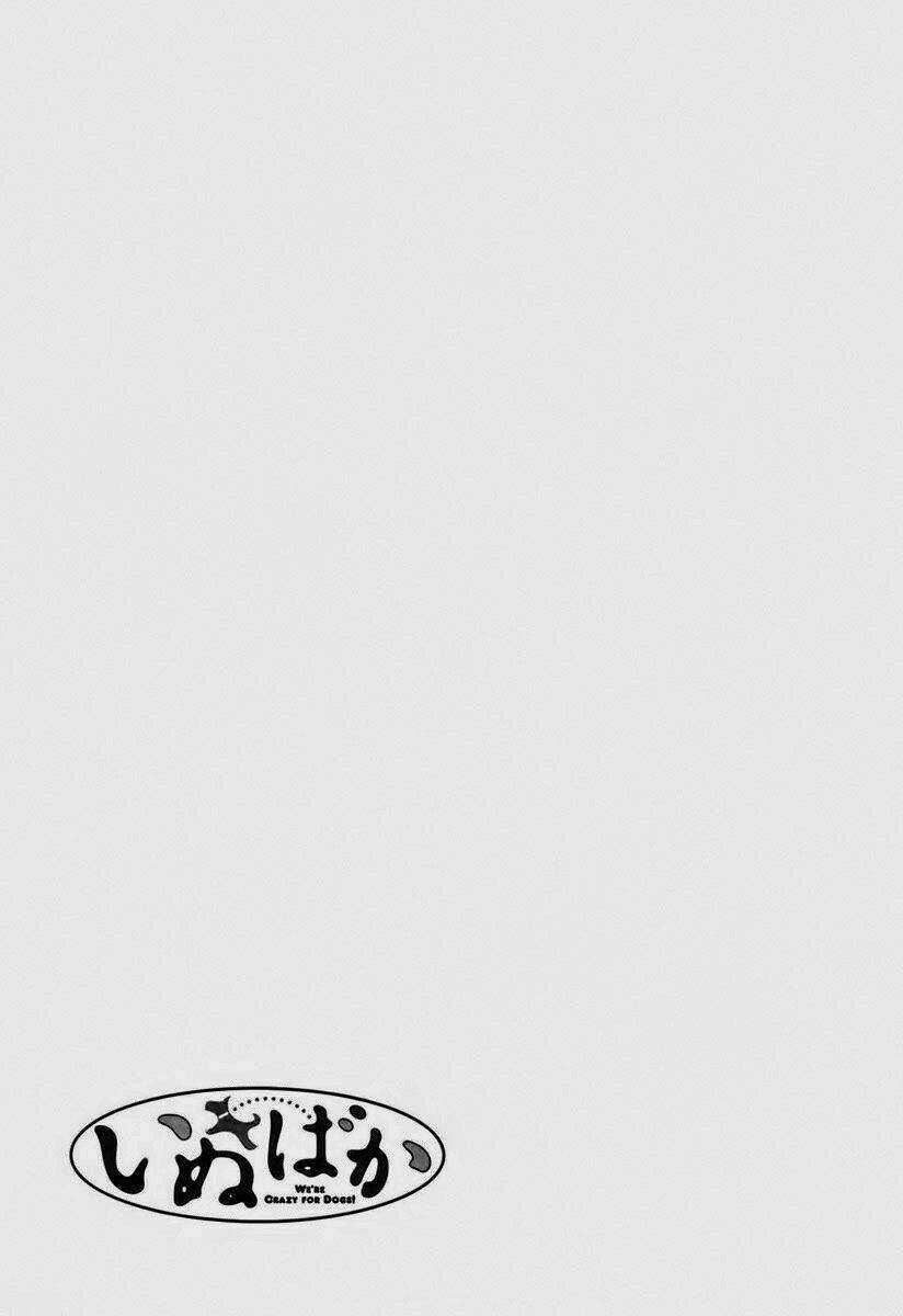 Cô Nàng Yêu Chó Chapter 41 trang 18