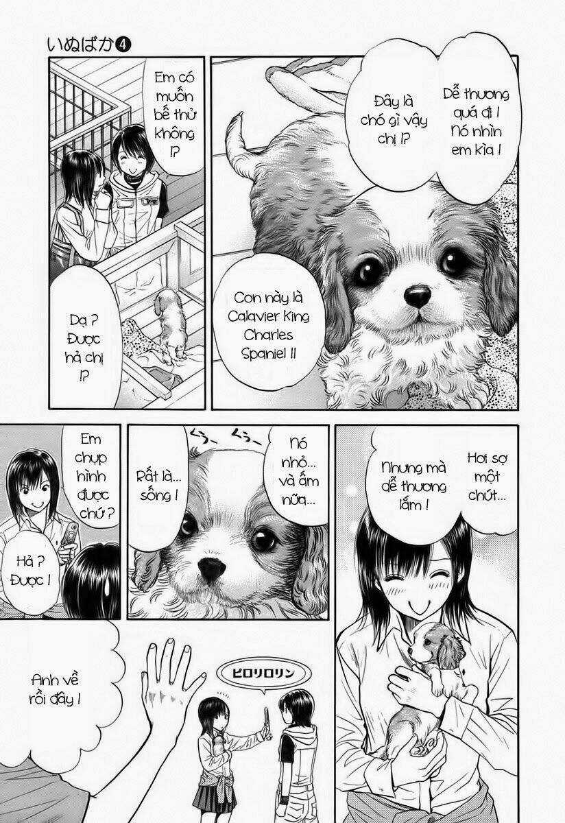 Cô Nàng Yêu Chó Chapter 41 trang 4