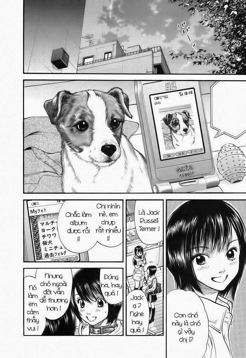 Cô Nàng Yêu Chó Chapter 41 trang 9