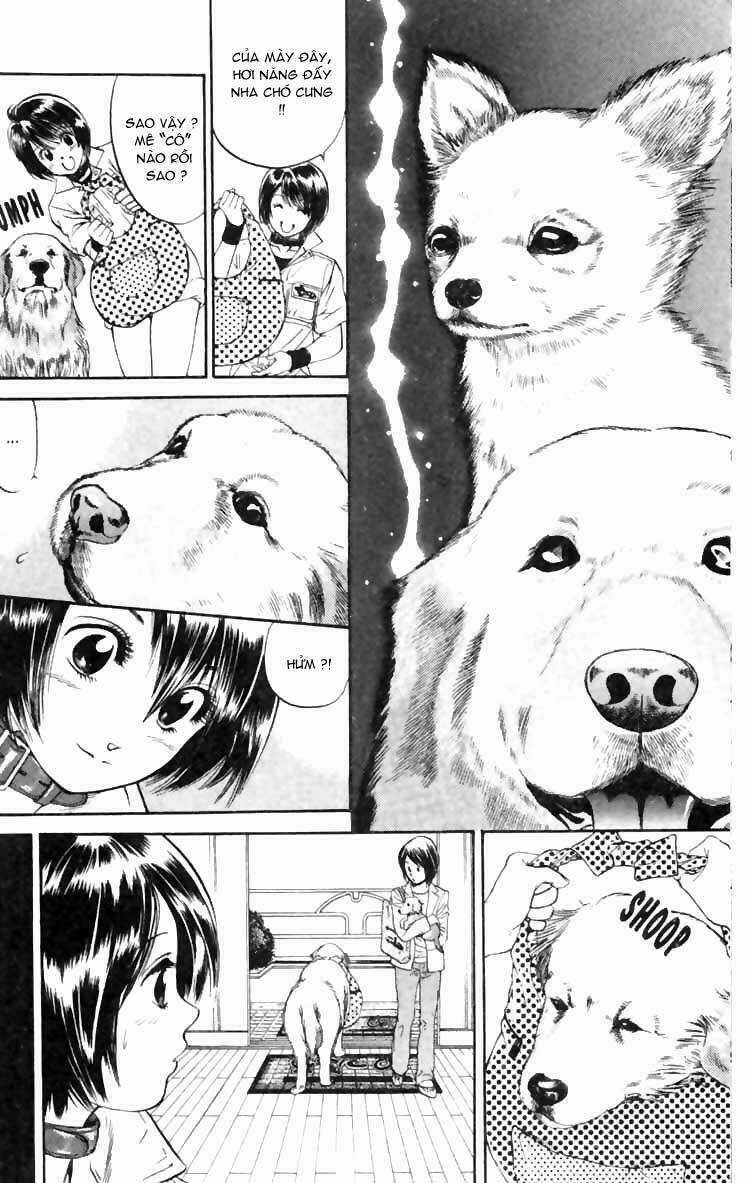 Cô Nàng Yêu Chó Chapter 5 trang 15