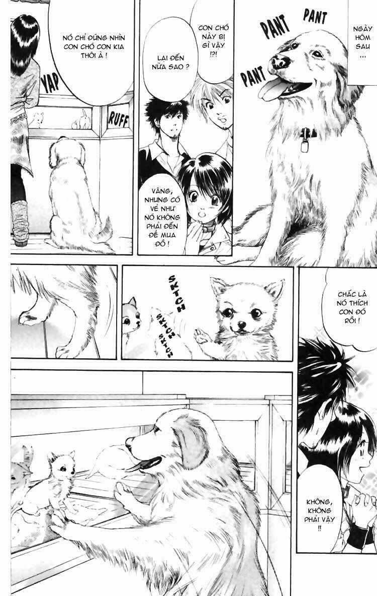 Cô Nàng Yêu Chó Chapter 5 trang 16