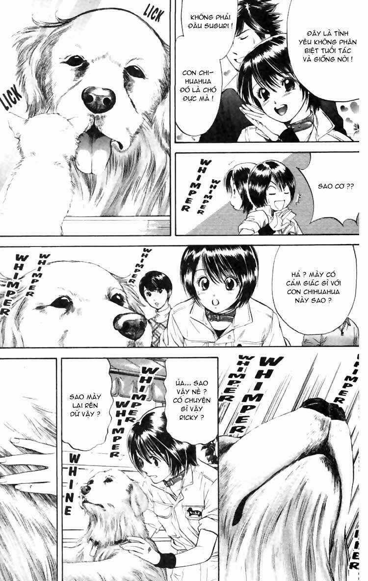 Cô Nàng Yêu Chó Chapter 5 trang 17