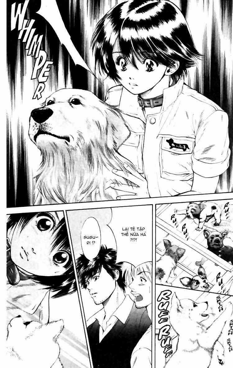 Cô Nàng Yêu Chó Chapter 5 trang 18