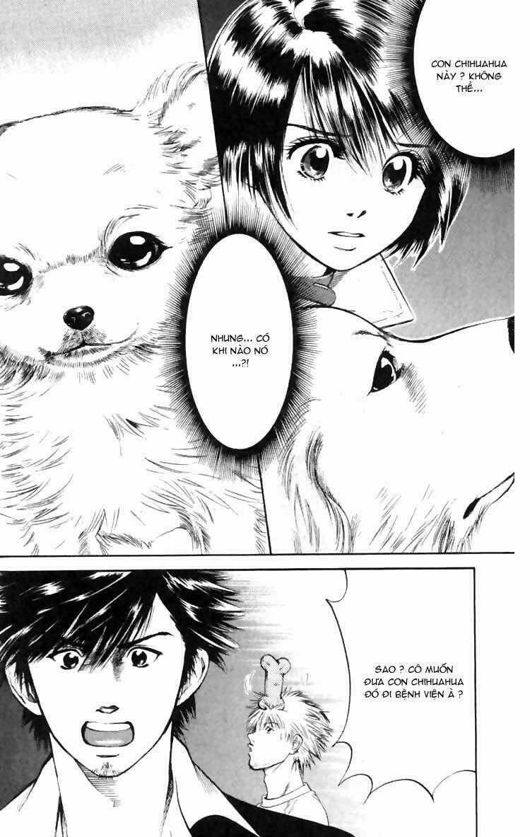 Cô Nàng Yêu Chó Chapter 5 trang 19