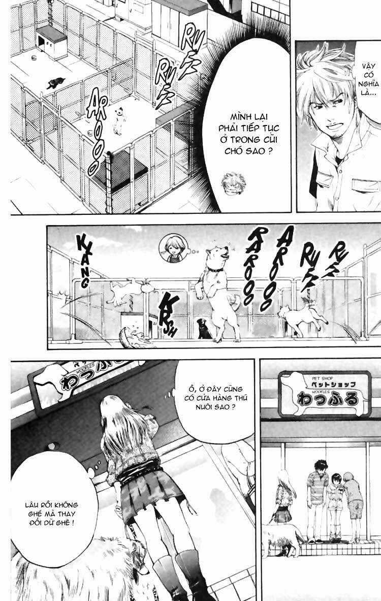 Cô Nàng Yêu Chó Chapter 5 trang 6