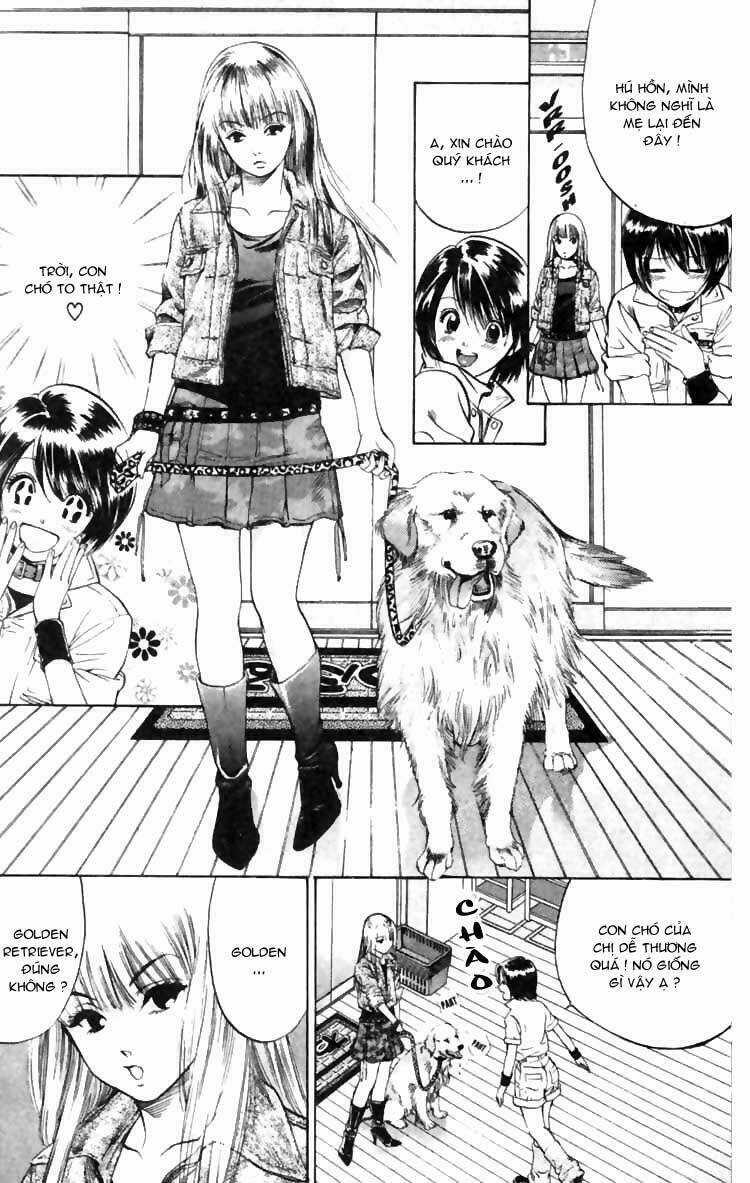 Cô Nàng Yêu Chó Chapter 5 trang 7