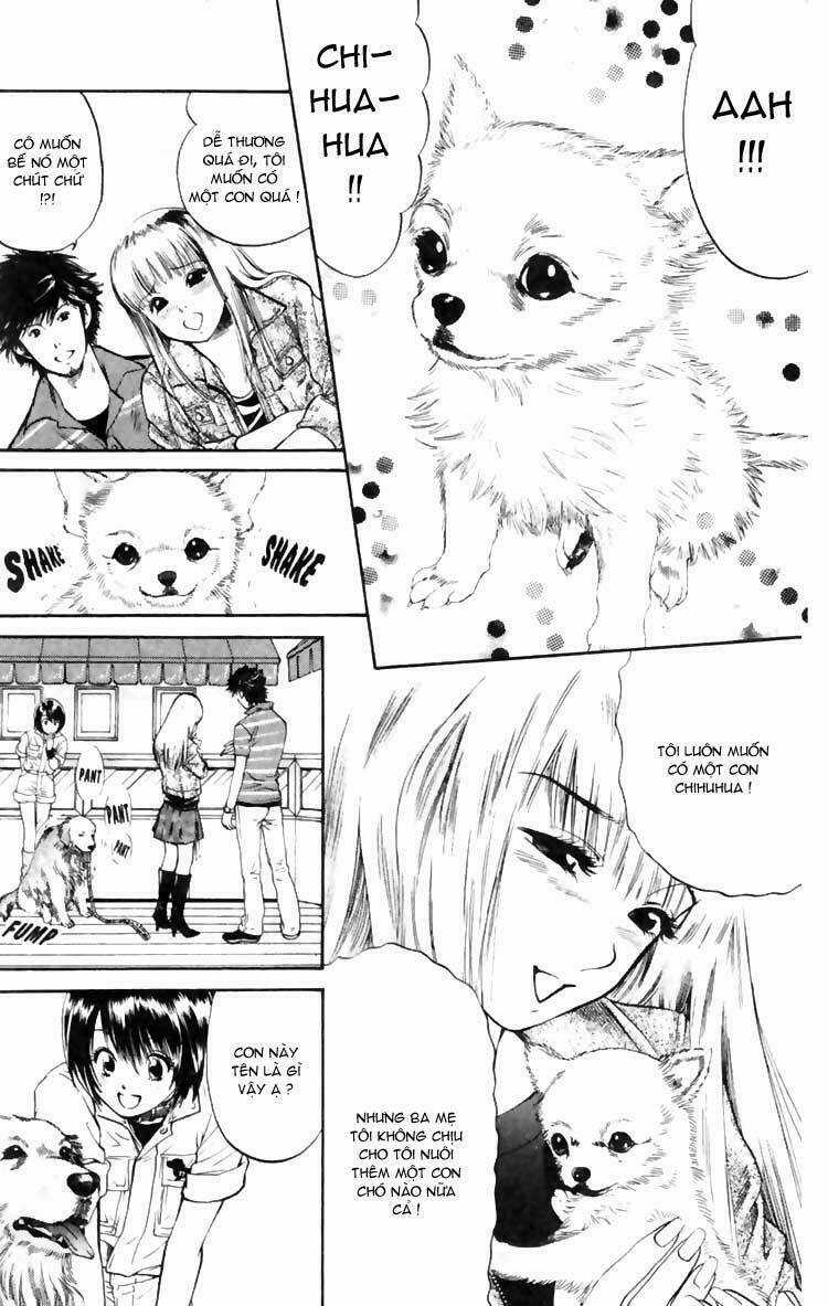 Cô Nàng Yêu Chó Chapter 5 trang 9