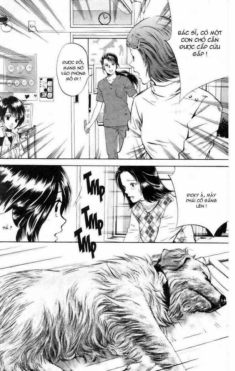 Cô Nàng Yêu Chó Chapter 6 trang 12