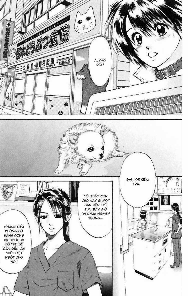 Cô Nàng Yêu Chó Chapter 6 trang 2