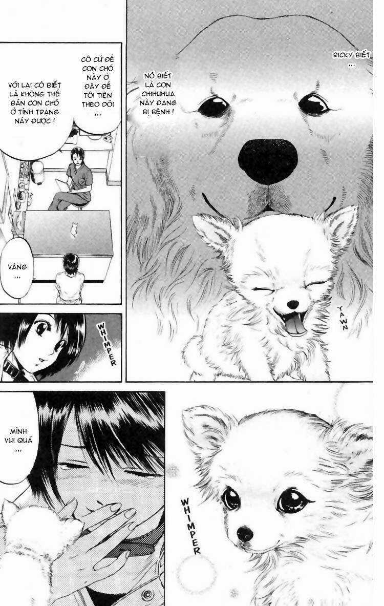 Cô Nàng Yêu Chó Chapter 6 trang 4