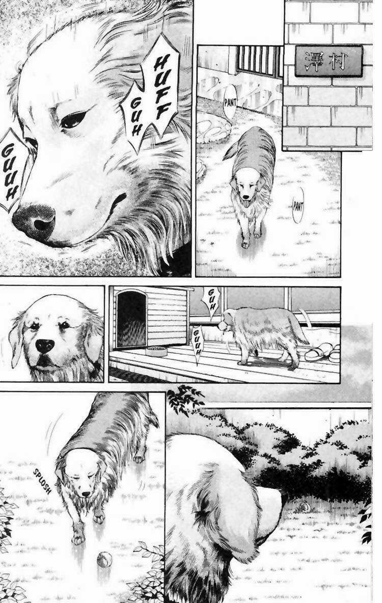 Cô Nàng Yêu Chó Chapter 6 trang 8