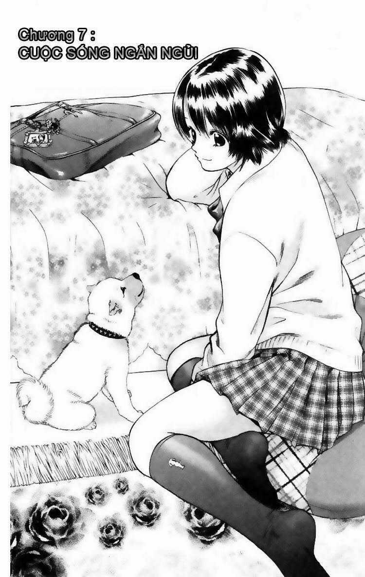 Cô Nàng Yêu Chó Chapter 7 trang 0