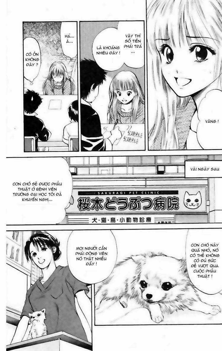 Cô Nàng Yêu Chó Chapter 7 trang 12