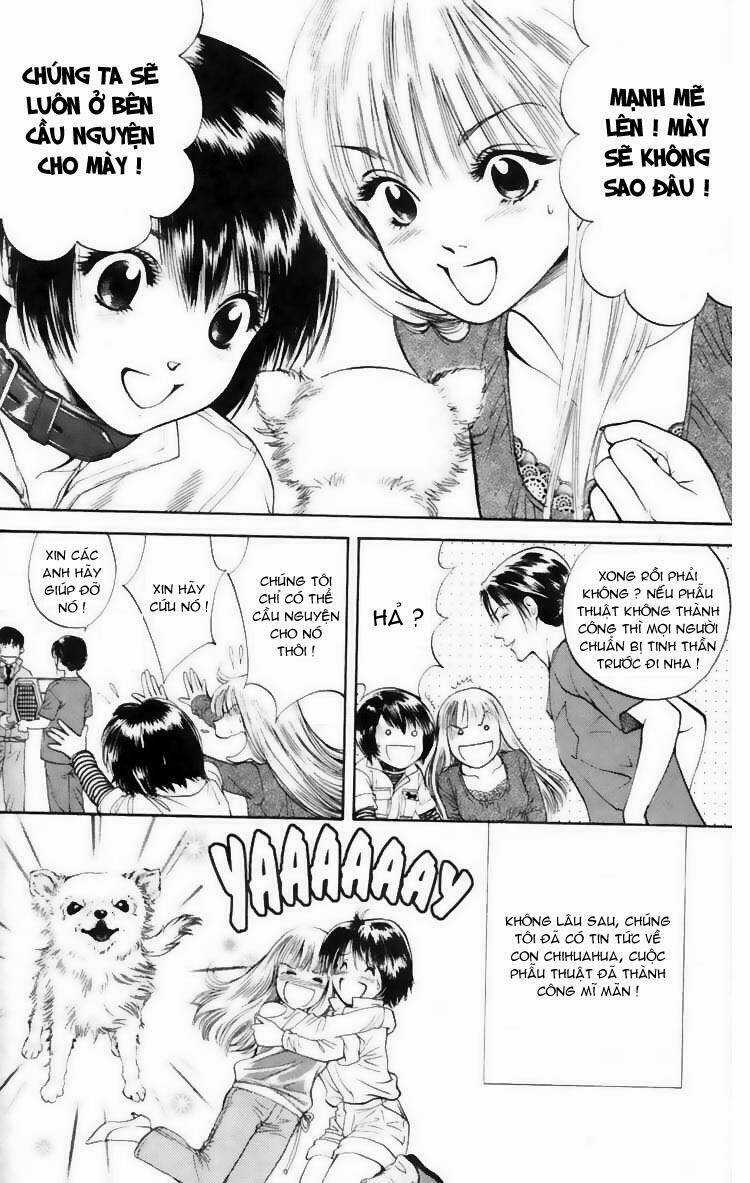 Cô Nàng Yêu Chó Chapter 7 trang 13