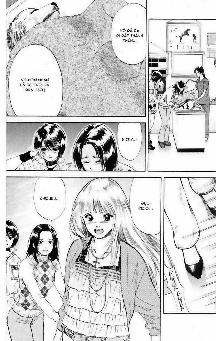 Cô Nàng Yêu Chó Chapter 7 trang 2