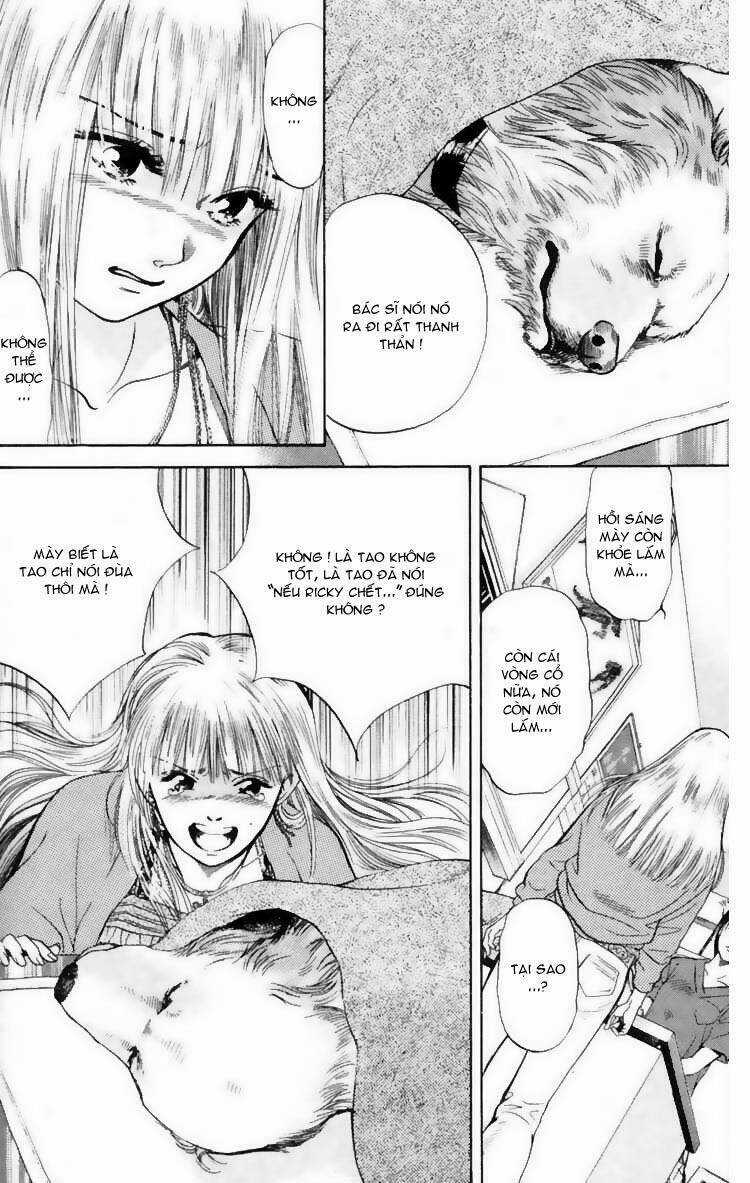 Cô Nàng Yêu Chó Chapter 7 trang 3