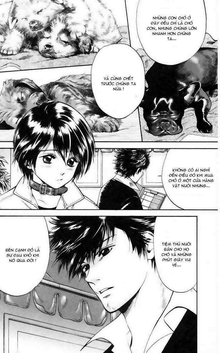 Cô Nàng Yêu Chó Chapter 7 trang 7