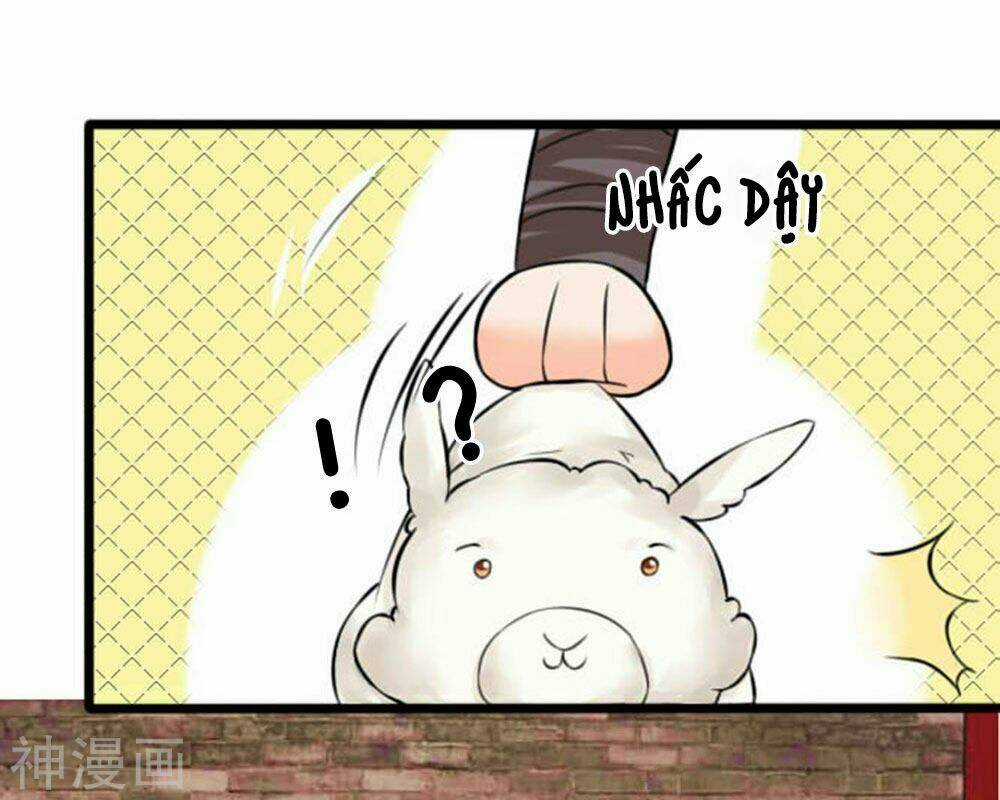 Cô Nương Xấu Xí Của Trẫm Chapter 23 trang 13