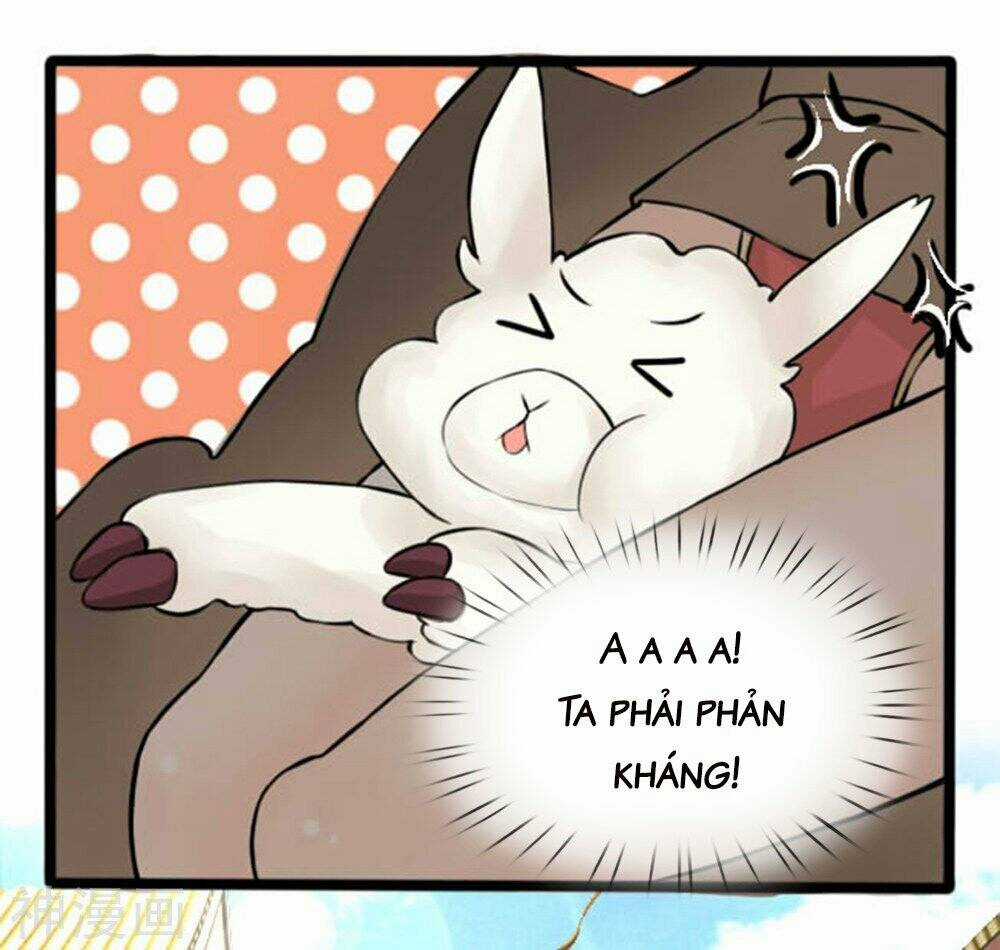 Cô Nương Xấu Xí Của Trẫm Chapter 25 trang 7