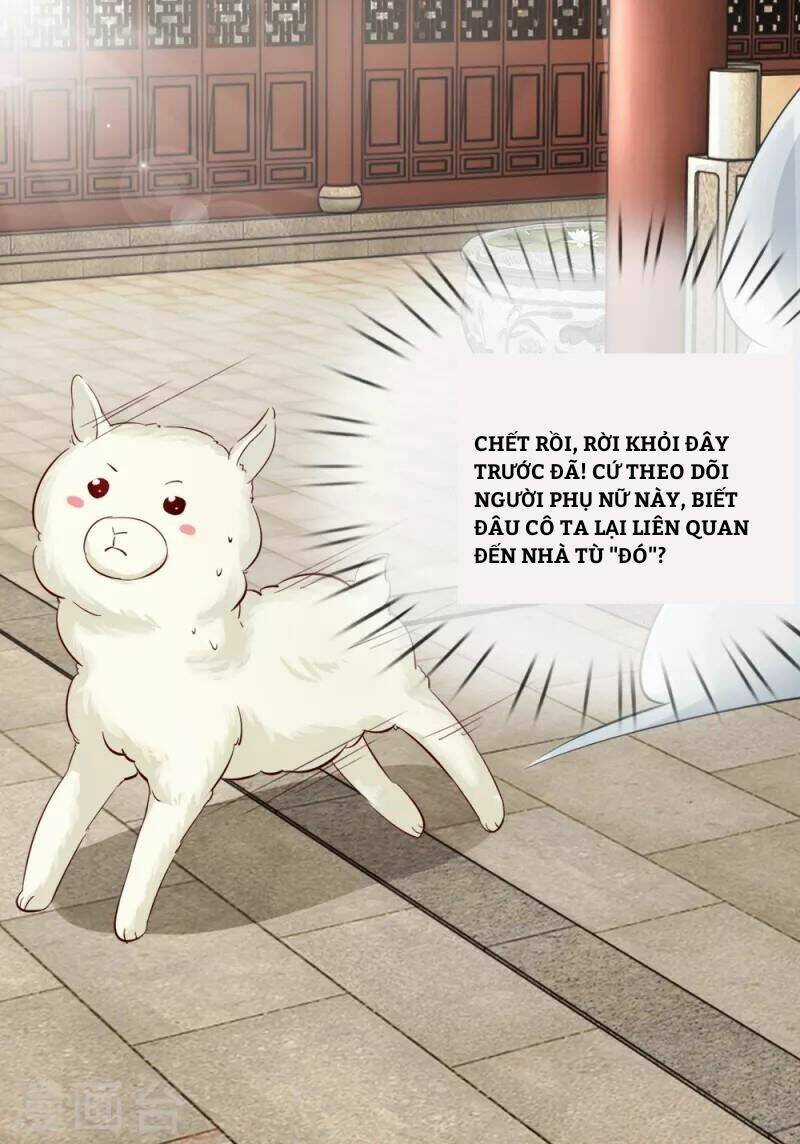 Cô Nương Xấu Xí Của Trẫm Chapter 9 trang 7