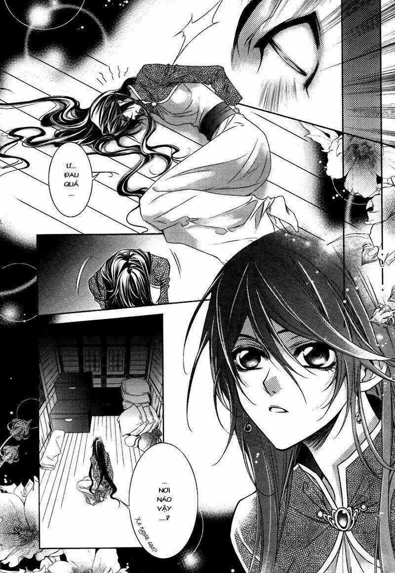 Cô Phương Bất Tự Thưởng Chapter 1 trang 5