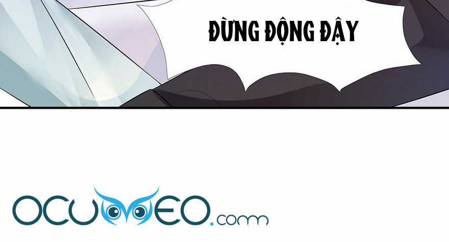Cô Sát Thủ Ơi, Yêu Nhau Nhé Chapter 56 trang 19