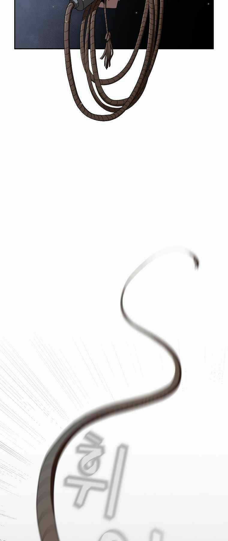 Có Thật Đây Là Anh Hùng Không? Chapter 11 trang 11