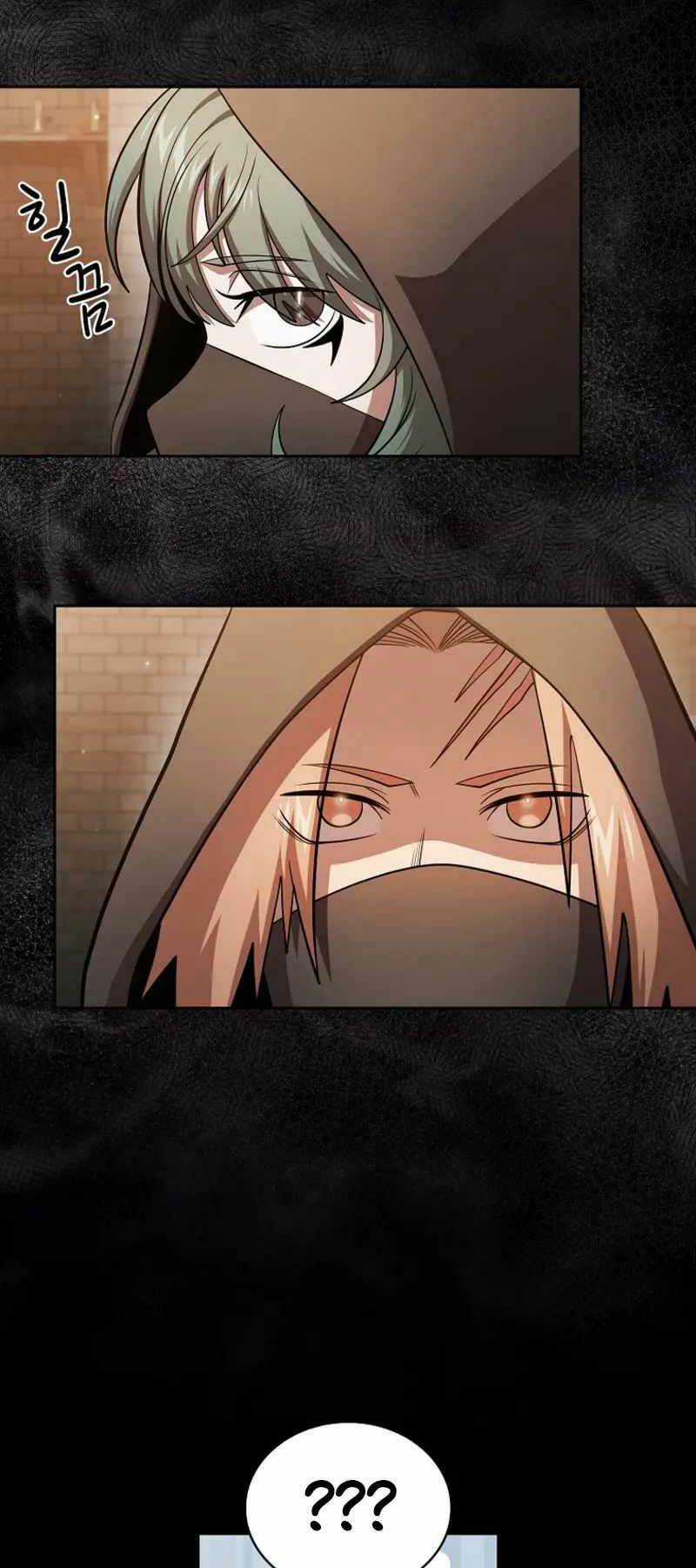 Có Thật Đây Là Anh Hùng Không? Chapter 88 trang 9