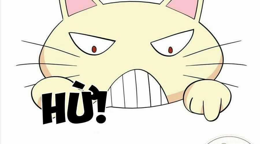 Cố Tổng, Vợ Của Ngài Quá Mạnh Rồi! Chapter 19 trang 43