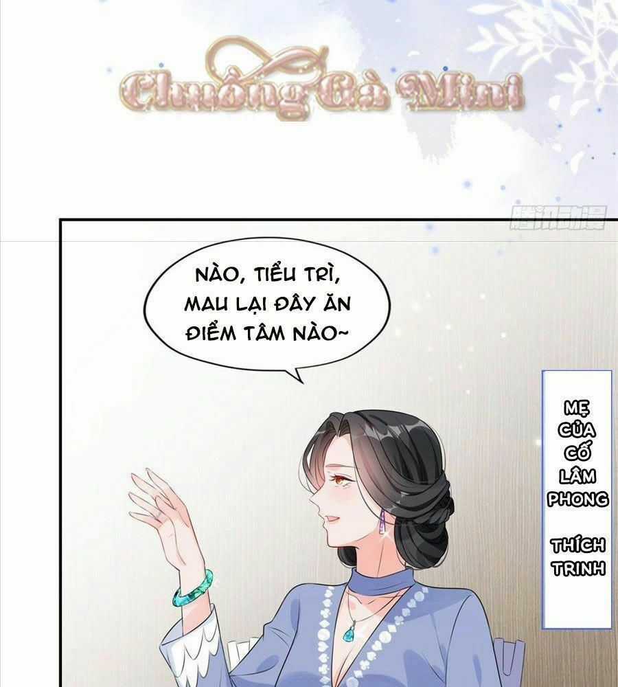 Cố Tổng, Vợ Của Ngài Quá Mạnh Rồi! Chapter 3 trang 41