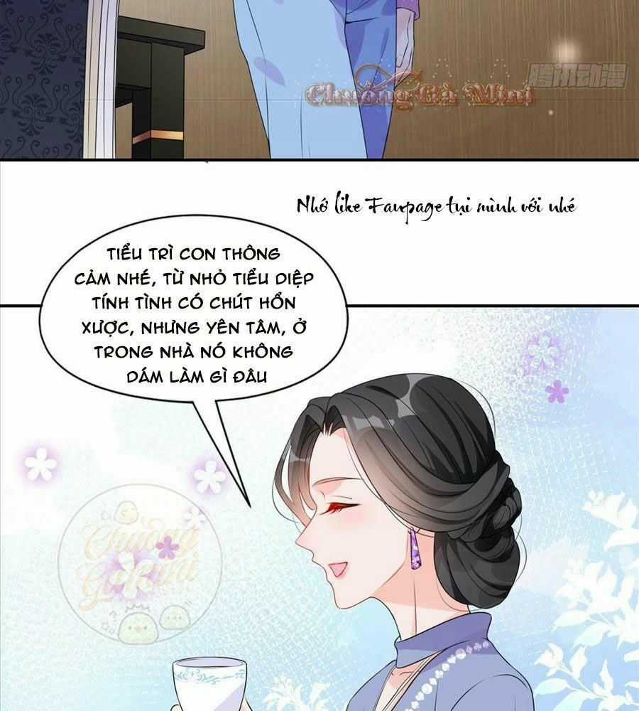 Cố Tổng, Vợ Của Ngài Quá Mạnh Rồi! Chapter 4 trang 12