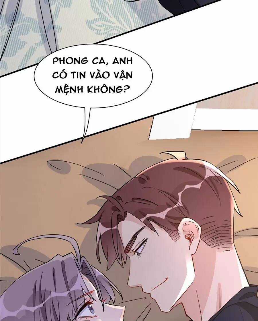 Cố Tổng, Vợ Của Ngài Quá Mạnh Rồi! Chapter 64 trang 12