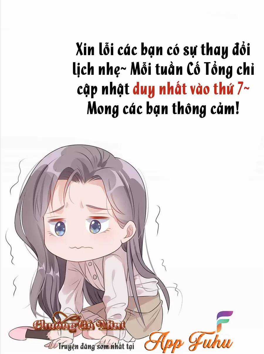 Cố Tổng, Vợ Của Ngài Quá Mạnh Rồi! Chapter 77 trang 45