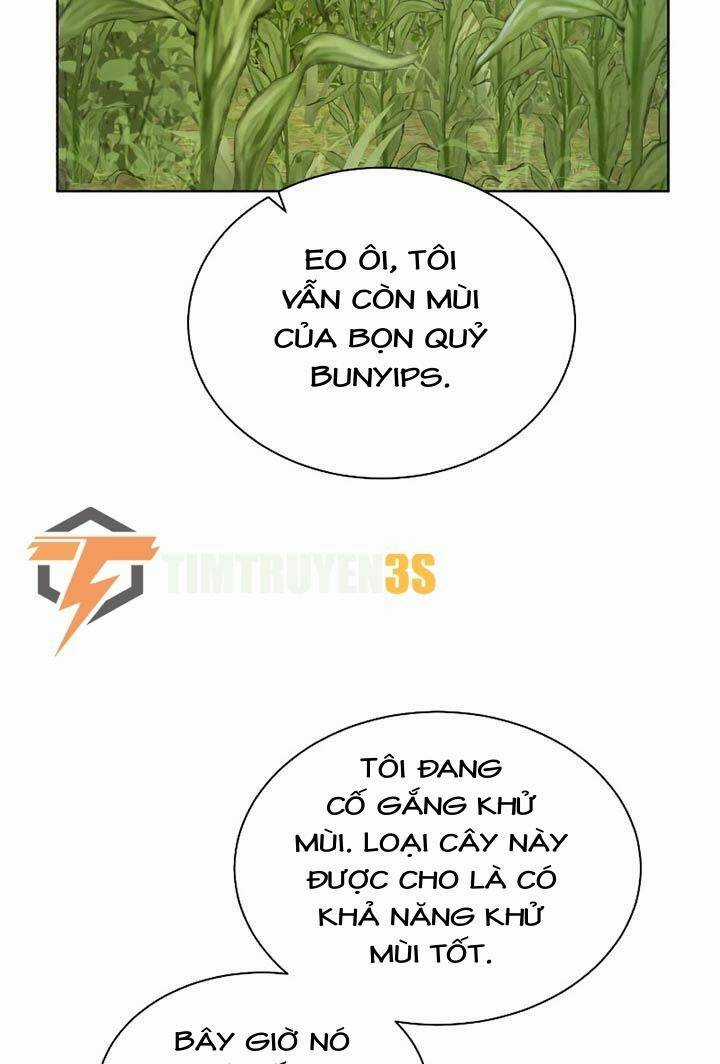 Cổ Vật Trong Hầm Tối Chapter 41 trang 43