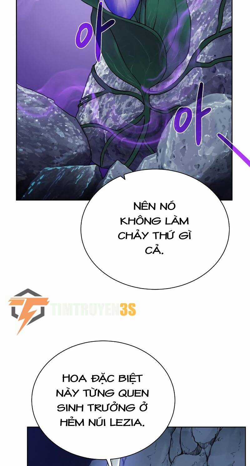 Cổ Vật Trong Hầm Tối Chapter 49 trang 11